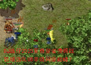 DJ练仔2025至尊皇者慢嗨战歌精选CLUB串烧问鼎巅峰? DJ练仔2025至尊皇者慢嗨战歌精选CLUB串烧问鼎巅峰?