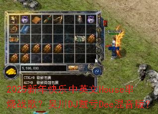 2025ӢHouseս裿⴨DJDee棿