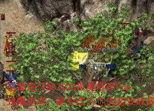 е2025ŷPopգܷΪϷս裿