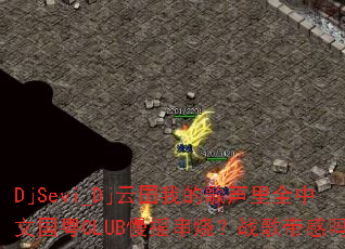 DjSevi_Dj�����ҵĸ�����ȫ���Ĺ���CLUB��ҡ���գ�ս�������