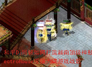 ��ƽDj������δ���Խ�϶������ElectroHouseҡ�ڴ����Ϸս��