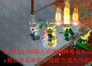 DJӦ��STSM˽�˻������Ƶ���House�����ܳ����ش����ܷ��Ϊ�����Ϸս��