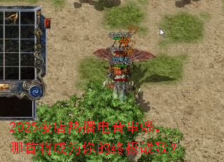 2025ҹ���Ȳ��������գ����׽���Ϊ����ռ�ս�裿