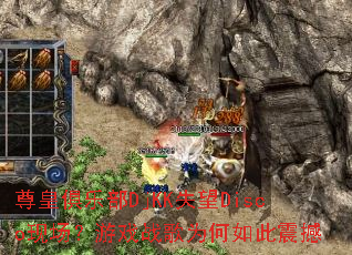 ��ʾ��ֲ�DjKKʧ��Disco�ֳ�����Ϸս��Ϊ�������