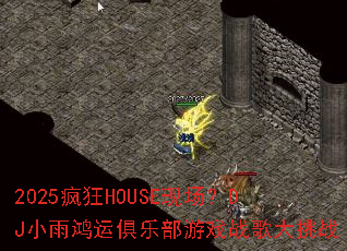 2025���HOUSE�ֳ���DJС����˾��ֲ���Ϸս�����ս