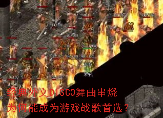 ��������DISCO��������Ϊ���ܳ�Ϊ��Ϸս����ѡ��