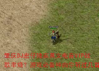 ����DJ���ж���Ӣ�ĵ���VIPս�贮�գ���Ϸ�ر���������������