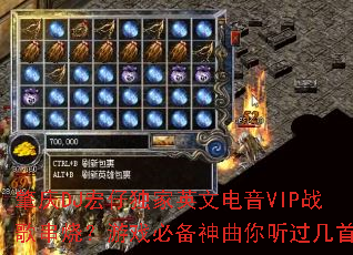 ����DJ���ж���Ӣ�ĵ���VIPս�贮�գ���Ϸ�ر���������������