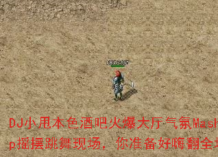 DJС˦��ɫ�ưɻ𱬴�������Mashupҡ�������ֳ�����׼�����˷�ȫ������