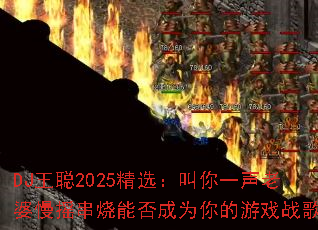 DJ����2025��ѡ������һ��������ҡ�����ܷ��Ϊ�����Ϸս�裿