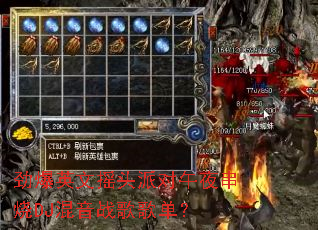 ����Ӣ��ҡͷ�ɶ���ҹ����DJ����ս��赥��