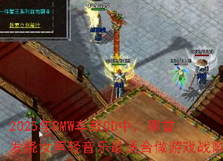 2025��BMW����CD�У����׷���Ů�����������ʺ�����Ϸս�裿