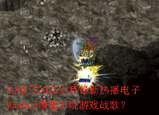 DJ练仔2025七月最新热播电子Mashup慢摇串烧游戏战歌? DJ练仔2025七月最新热播电子Mashup慢摇串烧游戏战歌?
