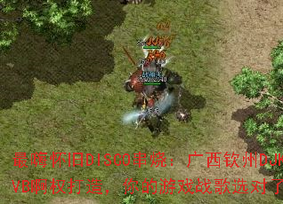 ���˻���DISCO���գ���������DJKVB��Ȩ���죬�����Ϸս��ѡ������