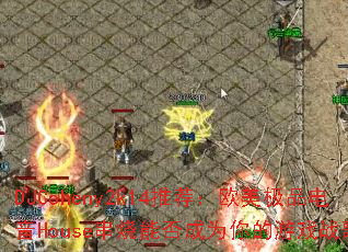 DJCoheny2k14�Ƽ���ŷ����Ʒ����House�����ܷ��Ϊ�����Ϸս�裿