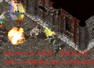 DJCoheny2k14�Ƽ���ŷ����Ʒ����House�����ܷ��Ϊ�����Ϸս�裿