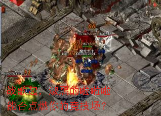 ս�����������������ܷ��ȼ��ľ�������