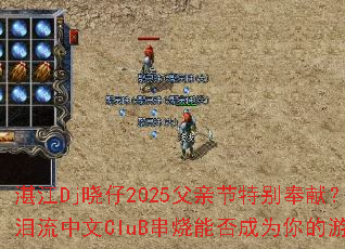 տ��Dj����2025���׽��ر���ף�������������CluB�����ܷ��Ϊ�����Ϸս��