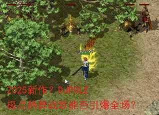 2025������DJPOLE��������ս���ܷ�����ȫ����