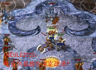 CGEULG2025�������籩�ܷ�����ս����