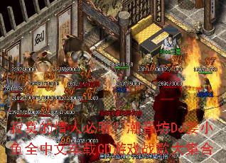 ��į�����˱�����������DJ��С��ȫ���ĳ���CD��Ϸս��󼯺�