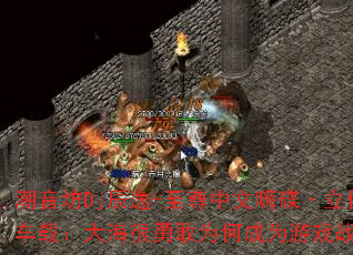 ������Dj����-���������˵������廷�Ƴ��أ��󺣺��¸�Ϊ�γ�Ϊ��Ϸս����ѡ��