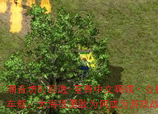 ������Dj����-���������˵������廷�Ƴ��أ��󺣺��¸�Ϊ�γ�Ϊ��Ϸս����ѡ��