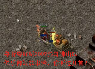 ����������2009����ɽDJ���ֲ�ս�贮�գ����������ף�