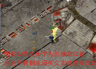 ����DJ���ĳ���������0752���ֻ����˷�ȫ��Ӣ�Ĵ�����Ϸս�裿