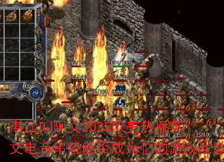 տ��DJ����2025ŷ���Ȳ�Ӣ�ĵ��������ܷ��Ϊ�����Ϸս��