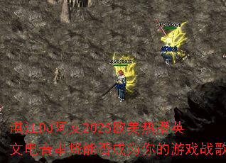 տ��DJ����2025ŷ���Ȳ�Ӣ�ĵ��������ܷ��Ϊ�����Ϸս��