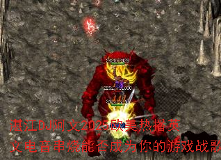 տ��DJ����2025ŷ���Ȳ�Ӣ�ĵ��������ܷ��Ϊ�����Ϸս��