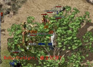 WeRunTheNight��˭��������