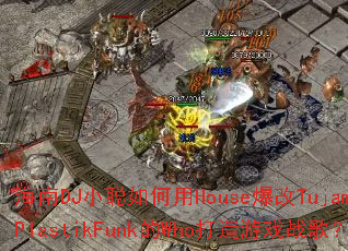 ����DJС�������House����Tujamo��PlastikFunk��Who������Ϸս�裿