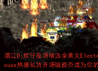 տ��Dj����ҹ����ѡȫӢ��ElectroHouse�Ȳ�˽���������ܷ��Ϊ�����Ϸս��