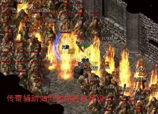 ���渨�������������������