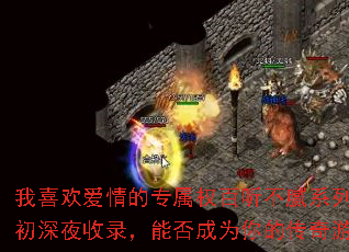 ��ϲ�������ר��Ȩ��������ϵ��-10�³���ҹ��¼���ܷ��Ϊ��Ĵ�����Ϸս�裿