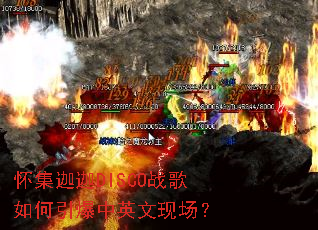 ��������DISCOս�����������Ӣ���ֳ���