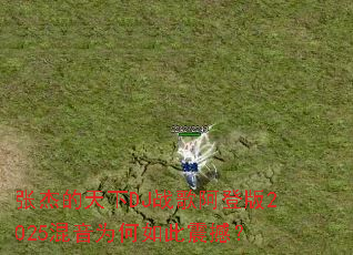 �Žܵ�����DJս�谢�ǰ�2025����Ϊ������𺳣�