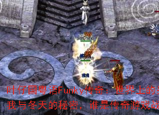 Ҷ�й�����Funky���棺�����ϵ���һ�����붬������ܣ�˭�Ǵ�����Ϸս��֮����