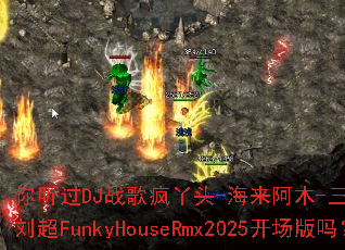 ������DJս���Ѿͷ-������ľ-��������DJս������FunkyHouseRmx2025��������