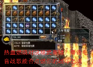 ��Ѫȼ�նԾ�����Ӣ�ۣ��������ս���ܷ��ȼ���ս��֮��