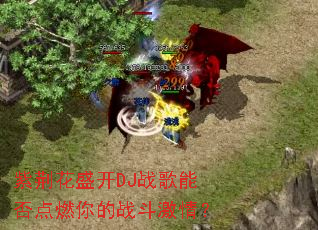 �Ͼ���ʢ��DJս���ܷ��ȼ���ս�����飿