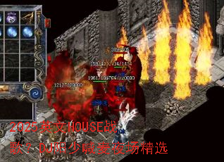 2025Ӣ��HOUSEս�裿DJ���ٺ���ҹ����ѡ