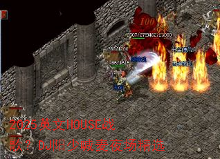 2025Ӣ��HOUSEս�裿DJ���ٺ���ҹ����ѡ