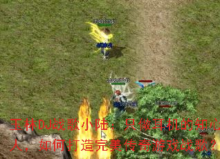 ����DJս��С½��ֻ��������֪���ˣ���δ�������������Ϸս�裿