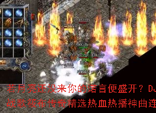 ��������û�����ŵ�Ա�ʢ����DJս���㲼���澫ѡ��Ѫ�Ȳ���������