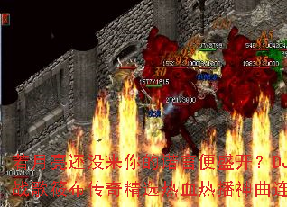 ��������û�����ŵ�Ա�ʢ����DJս���㲼���澫ѡ��Ѫ�Ȳ���������