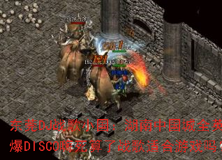 ��ݸDJս��С���������й���ȫӢ�ľ���DISCO��������ս���ʺ���Ϸ��