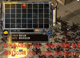 ��ݸDJս��С���������й���ȫӢ�ľ���DISCO��������ս���ʺ���Ϸ��